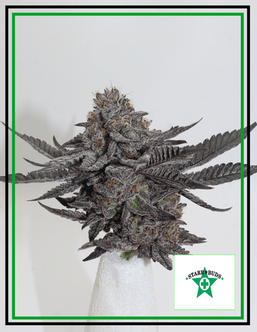 Buds - Ice Cream Cake