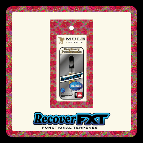 Raspberry Pomegranate FXT 1G Flavored Cartridge (Mule)