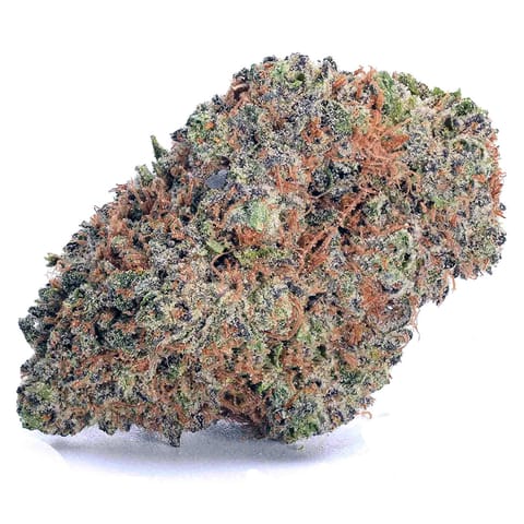 Sophie's Breath