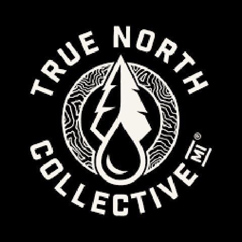 Electric Watermelon 4x50mg THC Vegan Gummies | True North Confections