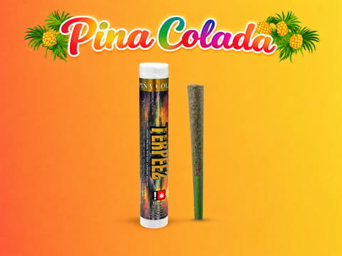 Pina Colada 1G Infused Preroll (Terpeez)