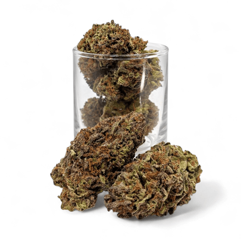 Super 8 - Indica - Platinum