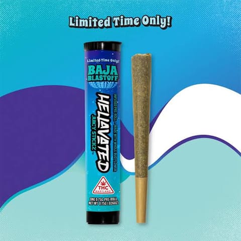 Hellavated | Baja Blastoff | 1G | Flavored | Infused Preroll
