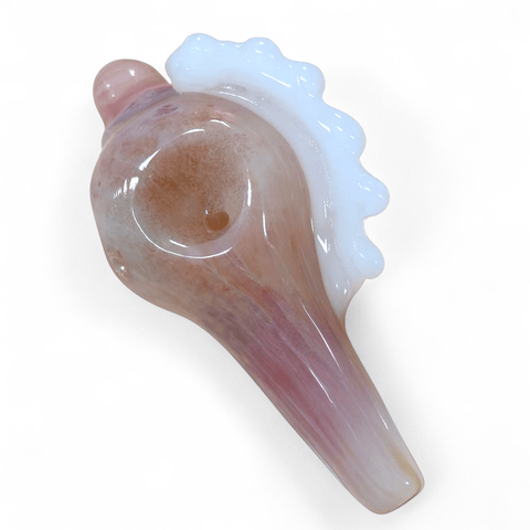 Large SeaShell Handpipe