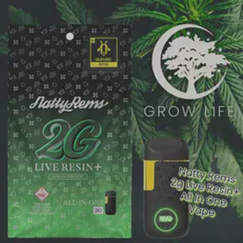 Natty Rems Live Resin+ AIO Vape Glue 2g (REC)