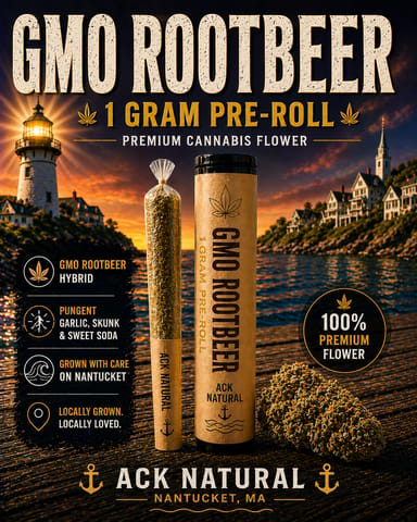 Gmo Rootbeer S26 - Pre-Roll 1G
