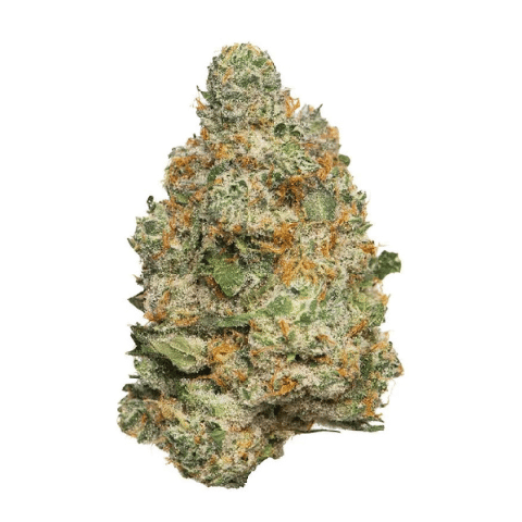 Apple Fritter - Flower - House