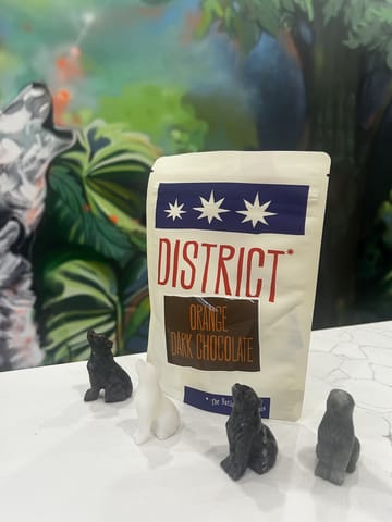District Cannabis | Orange Dark Chocolate | Edible 20mg (10-Pack)