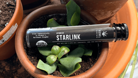 Starlink - 1g Pre-Roll