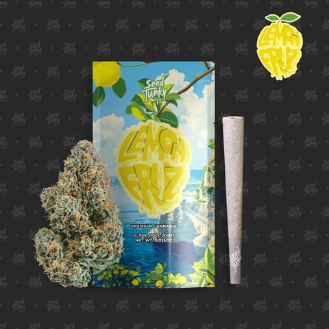 Seed Junky | Lemon Fruz (S) 3.5 Indoor Flower