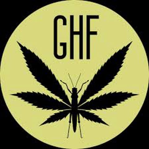 Grape Gas - Grasshopper Farms - Bulk Flower**