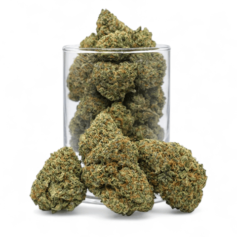 Cherry Jack - Sativa - Gold