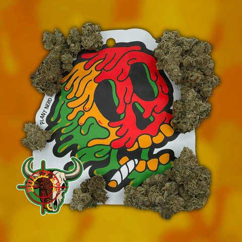 Plant Nerd - 3.5g Pre-Packed - Bullz Eye