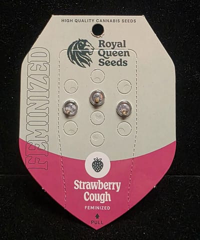 Feminized Seeds - Strawberry Cough 3 Seeds FEM