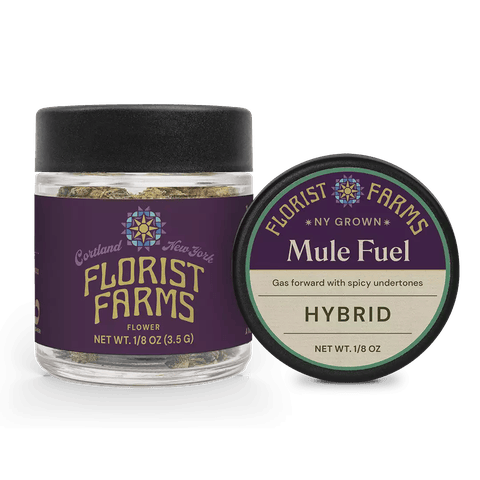 Mule Fuel 3.5g Flower (1/8)