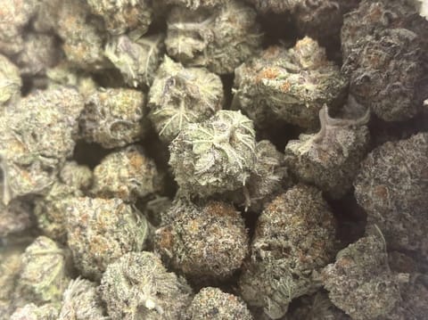 Mt. Hood Magic (Eastwood)
