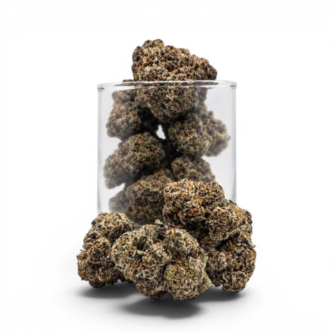Blue Lobster - Hybrid - Platinum