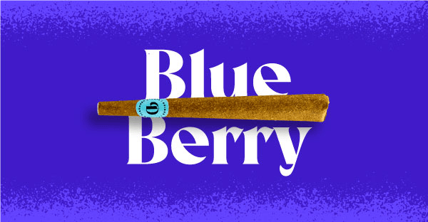 Blueberry 1G Doinks Blunt