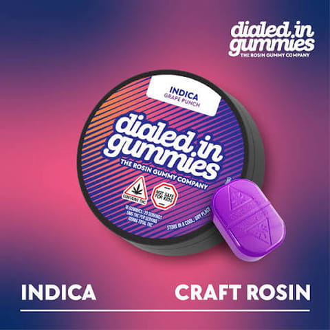 Dialed In Gummies Rosin - Indica