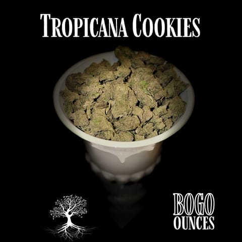 Buds - Tropicana Cookies (Outdoor Grow)