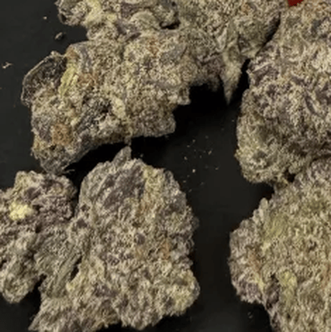 ANTERO - ROTTEN ROZAY - BULK PLATINUM TIER BUD
