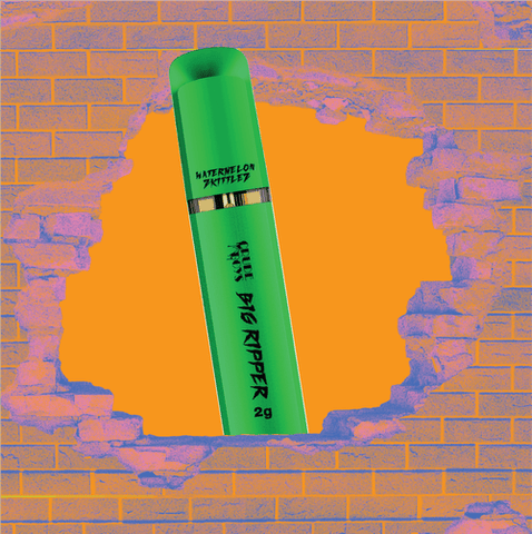 Watermelon Z 2g All In One Disposable | Crude Boys