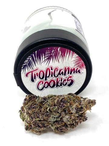 Hazy Hill Farm | Tropicana Cookies - 3.5g