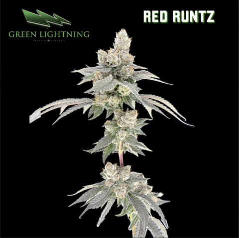 Red Runtz - Smalls (7g)
