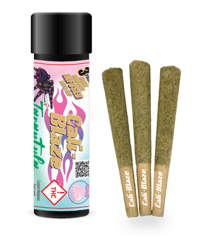 C.B. | 1G Tarantulas 3Pk - Cotton Cloud | Tropical Banana (S)