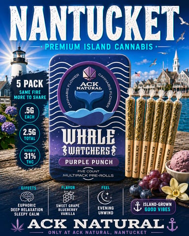 Purple Punch S26 - Whale Watchers 2.5G
