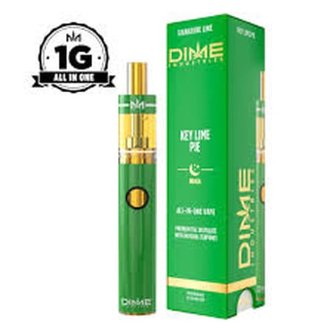 Dime Industries Lime Sherbanger 1000mg AIO