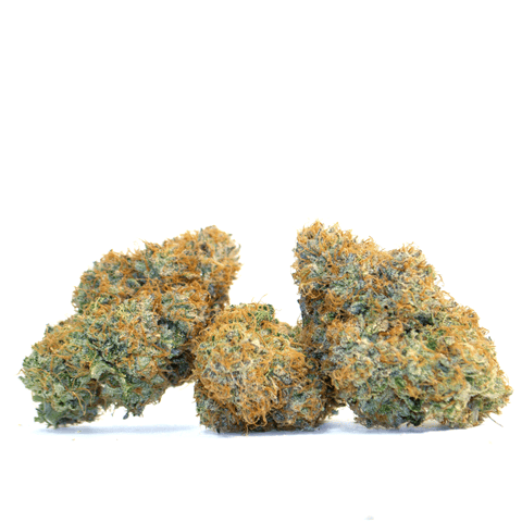 Black Maple by Trufella/ Bulk