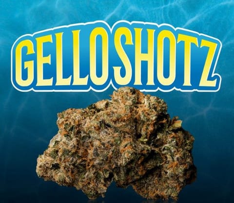 Seed Junky | Gello Shots (S) | 1g x 4 Preroll Joints