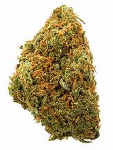 Gucci Fruit - 3.5g Bag