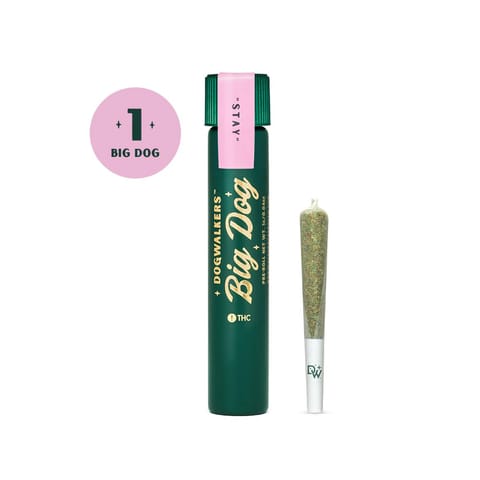 Afternoon Delight #4 | Pre-Roll | 1pk