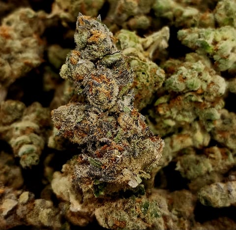 Kush Mints- (Hydro)