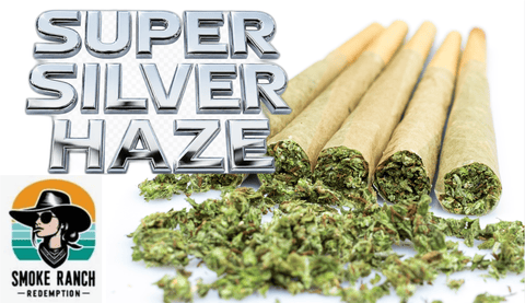Super Silver Haze 1g Preroll Smoke Ranch