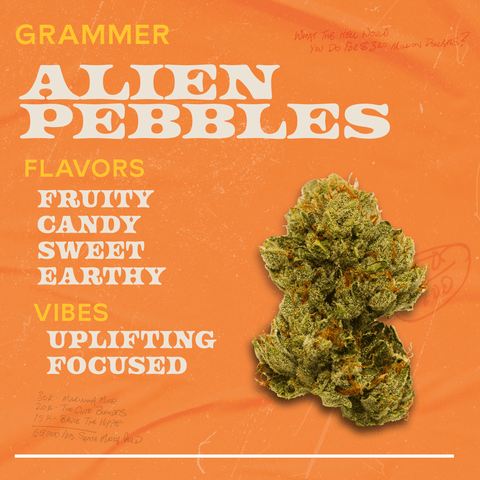 Alien Pebbles - 1g Grammers Flower