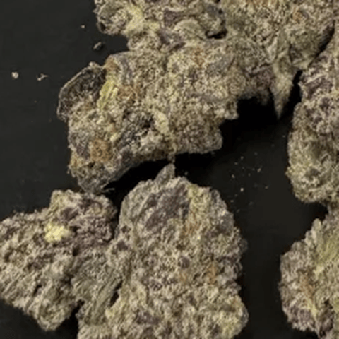 POT ZERO - SOUR LEMON - BULK COPPER TIER BUD