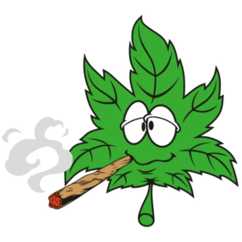 Bumper Sticker