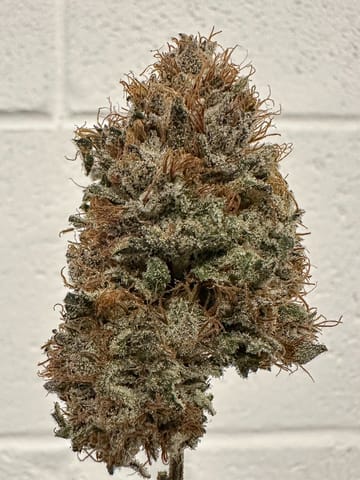Choof | Star 69 | 3.5g