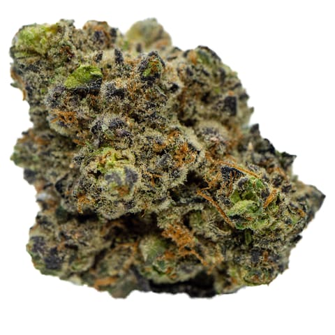 Blueberry Cupcake