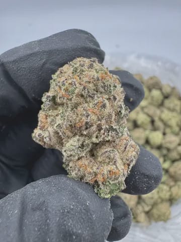 Exotic | Super Lemon Lime - 3.5 grams