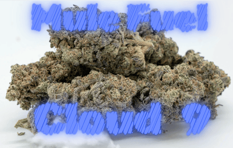 Mule Fuel Ind Flower Cloud 9