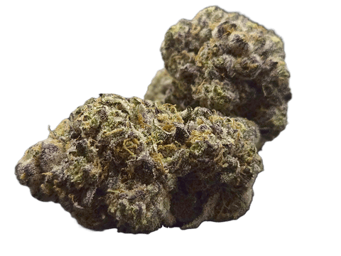FLOWER | PUP CUP | INDICA DOMINANT HYBRID | 1 GRAM