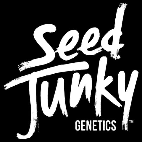 Seed Junky | Triple P'z (I) | 1g Preroll Joint - BOTH - 1.0g - Pre-Roll
