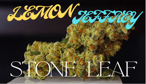 Lemon Jeffrey Flower Stone Leaf