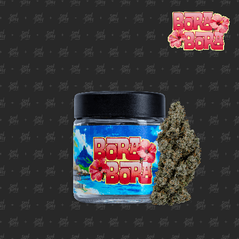 Seed Junky | Bora Bora (H) | 3.5g Premium Indoor Flower