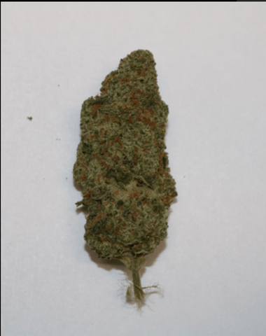 Master Mint - Buds