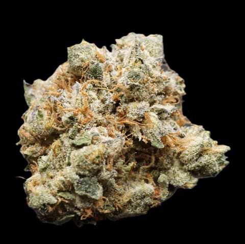 Green Ganja | Red Zerbert | 1lb | 25.15%